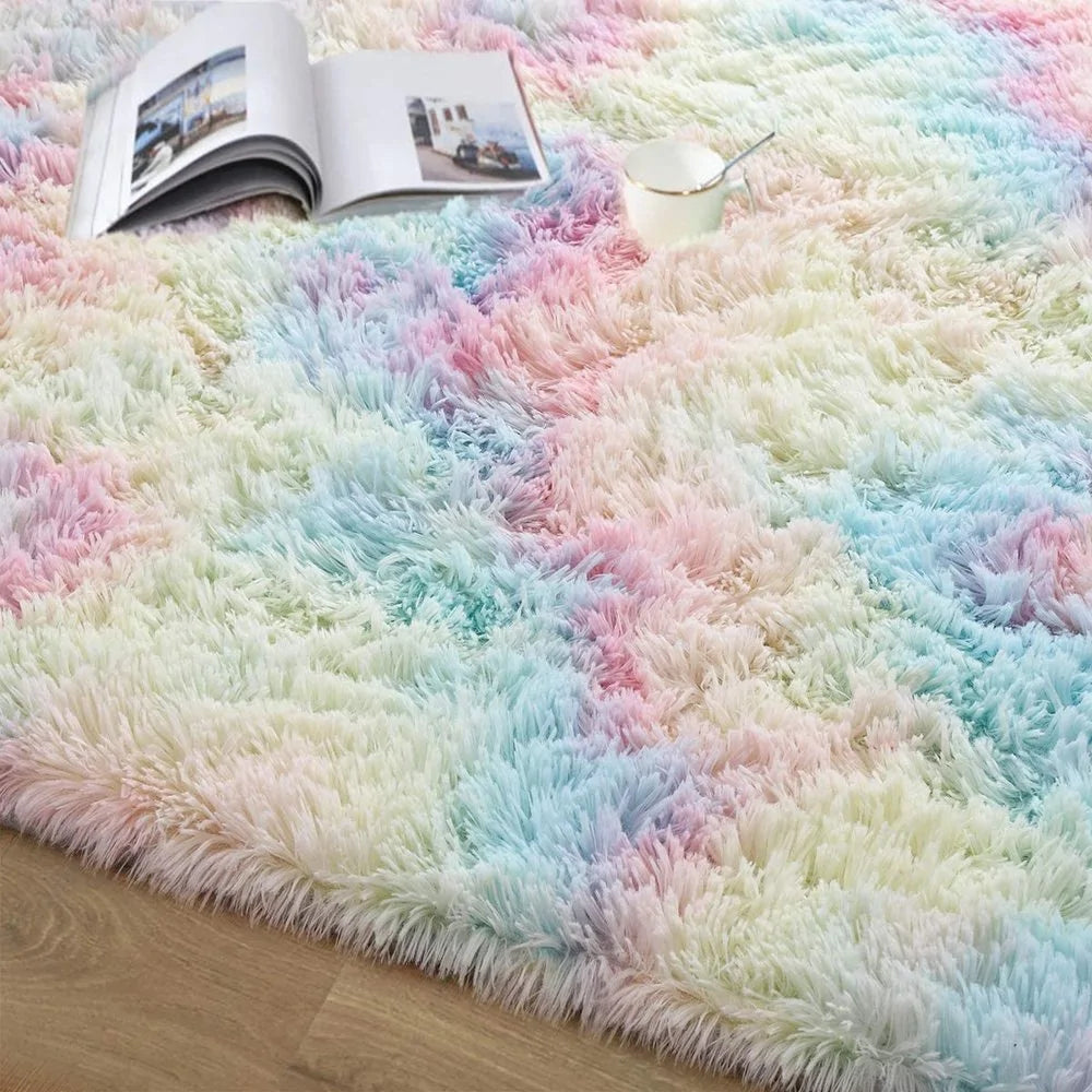 Colorful Fluffy Carpet