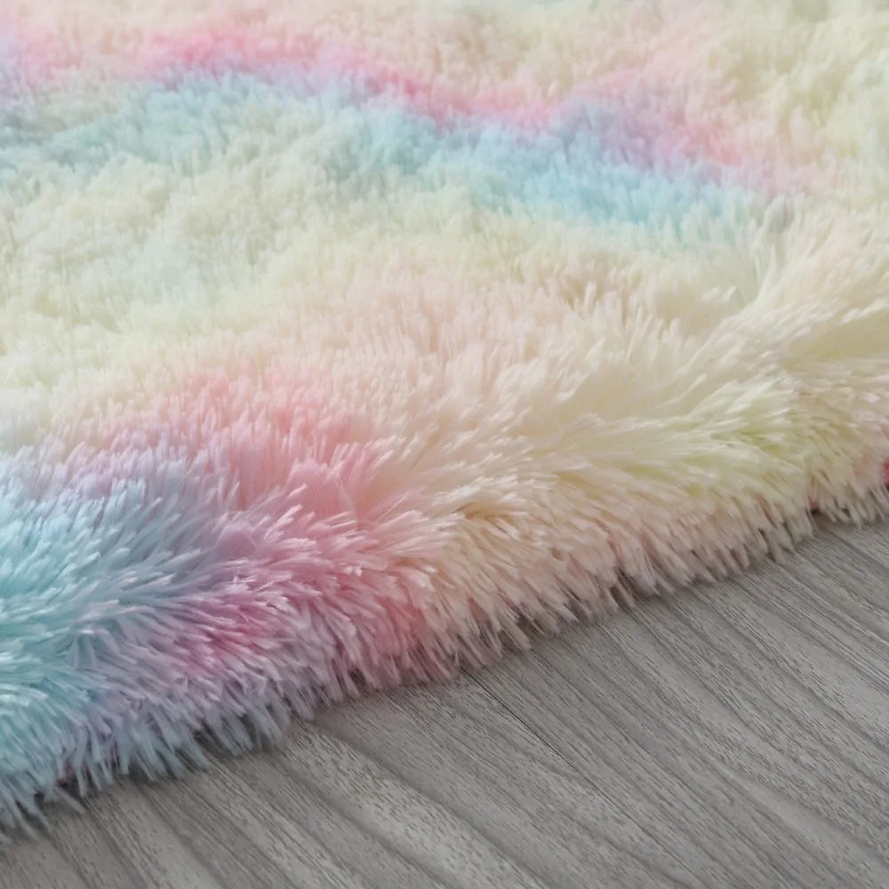 Colorful Fluffy Carpet